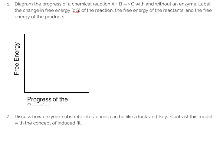 1. Diagram the progress of a chemical reaction \( A+B \rightarrow C \) with and without an enzyme. Label the change in free e