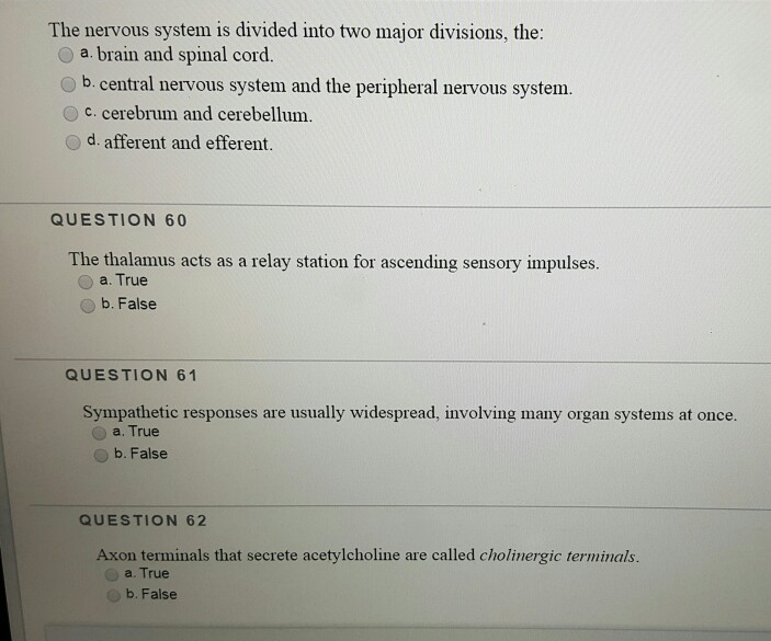 Solved The nervous system is divided into two major | Chegg.com