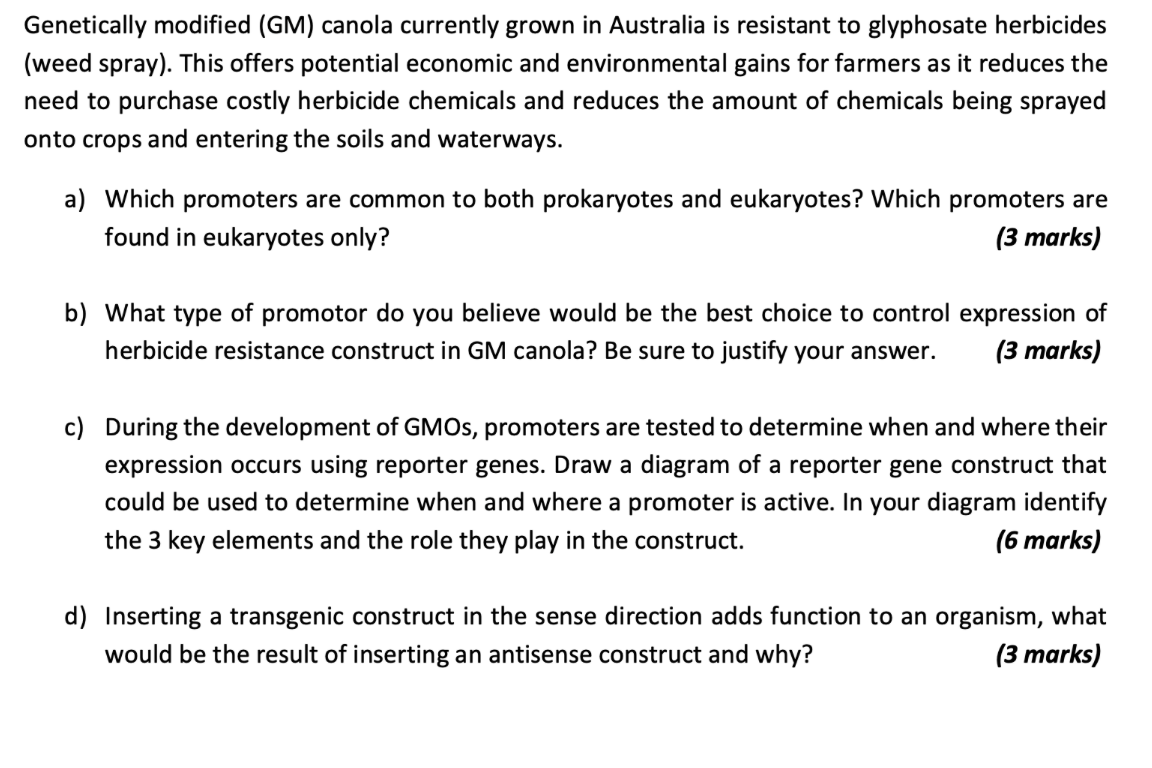 Solved modified (GM) ﻿canola currently grown in