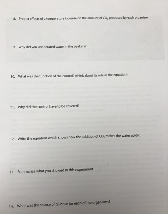 Solved Procedure 1 Label Four Beakers 1 Through 4 Using A