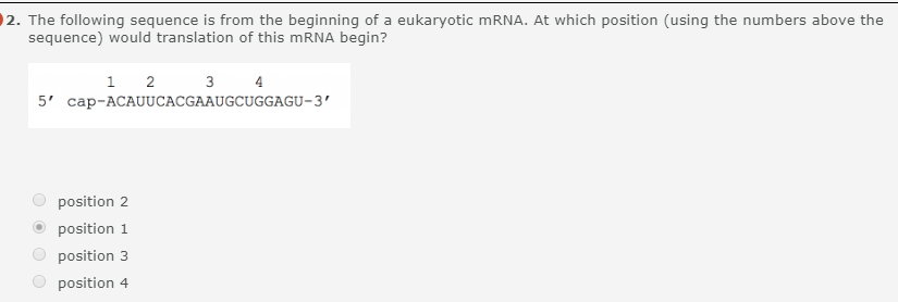 Solved 1. RNA polymerase is actually a large complex | Chegg.com