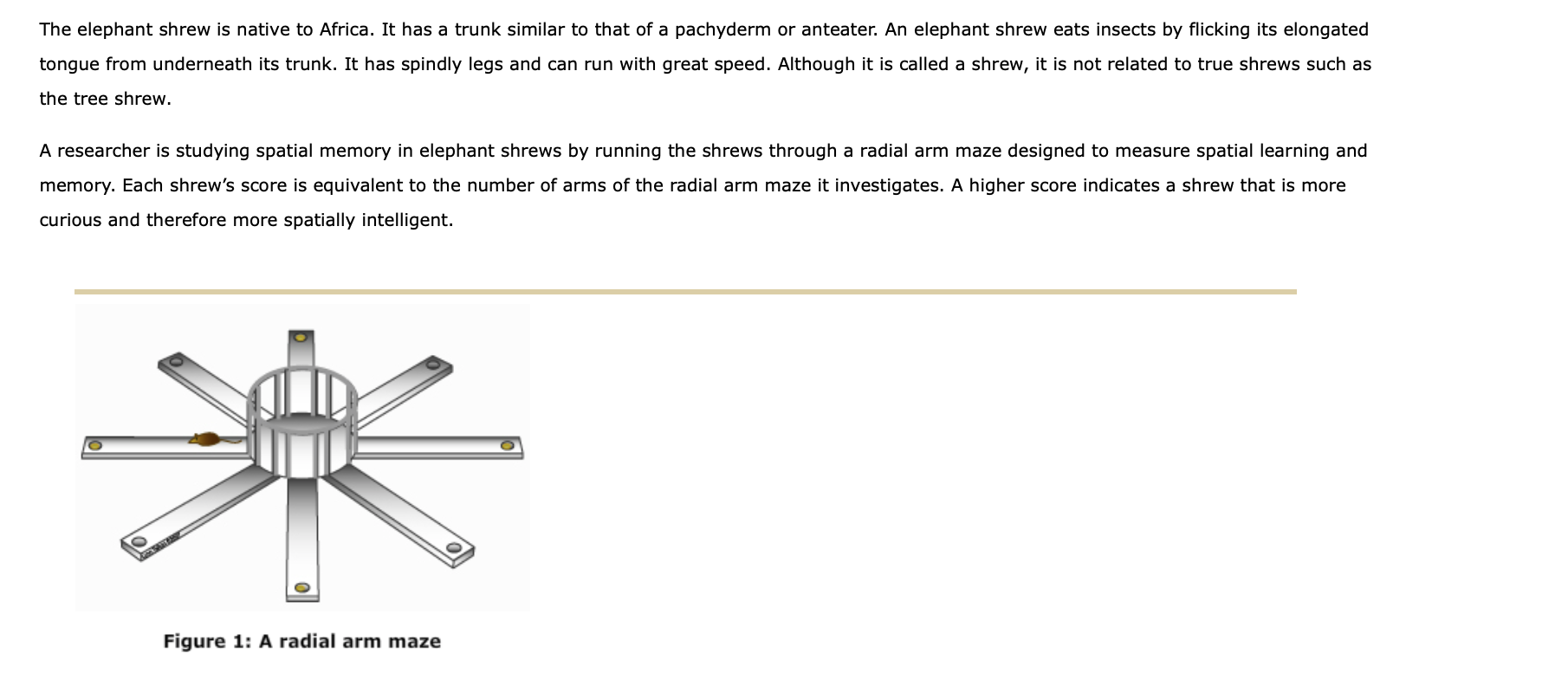 Solved The elephant shrew is native to Africa. It has a | Chegg.com