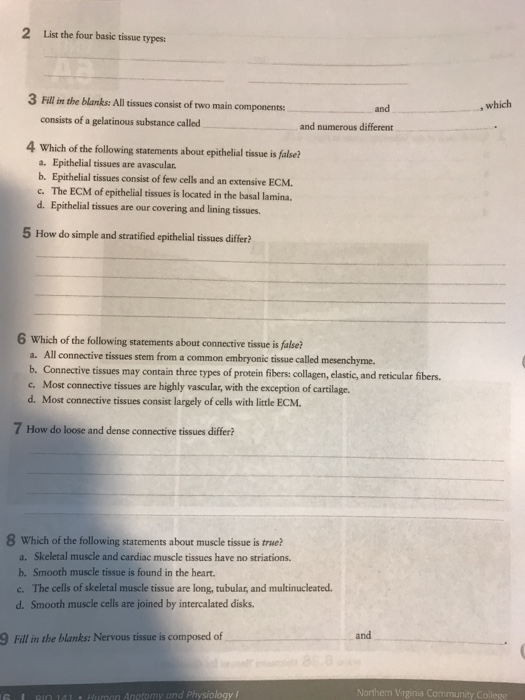 Solved 2 list the four basic tissue types 3 fill in the chegg