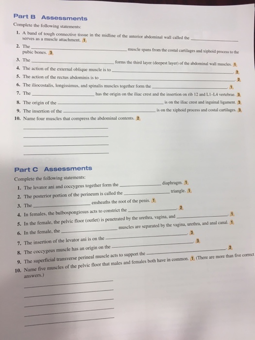 Solved Match the muscles in column A with the actions in | Chegg.com