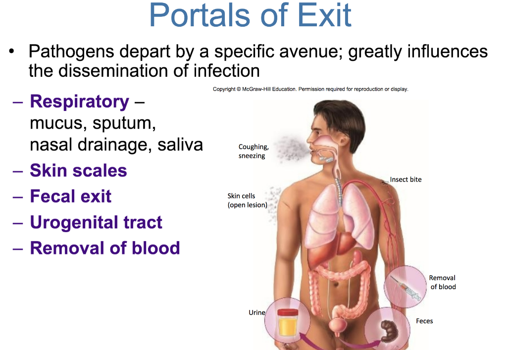Solved Portals of Exit: This is the slide lecture from my | Chegg.com