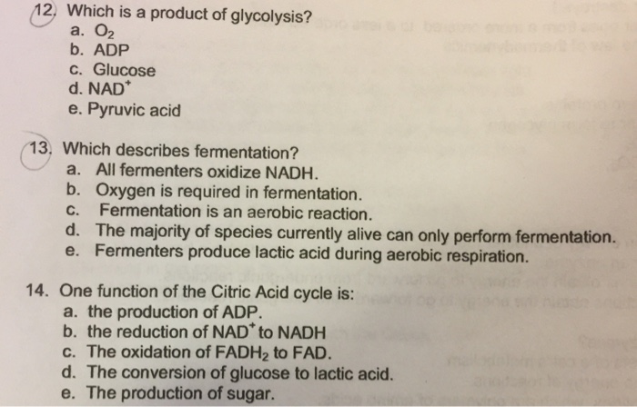 Solved 12, Which is a product of glycolysis? a. O2 b. ADP c. | Chegg.com