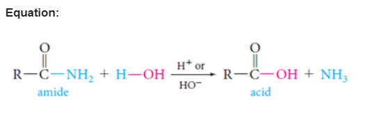 Equation: ਜ* Hor R-C-NH2 + H-OH amide HO R-C-OH + NH3 | Chegg.com