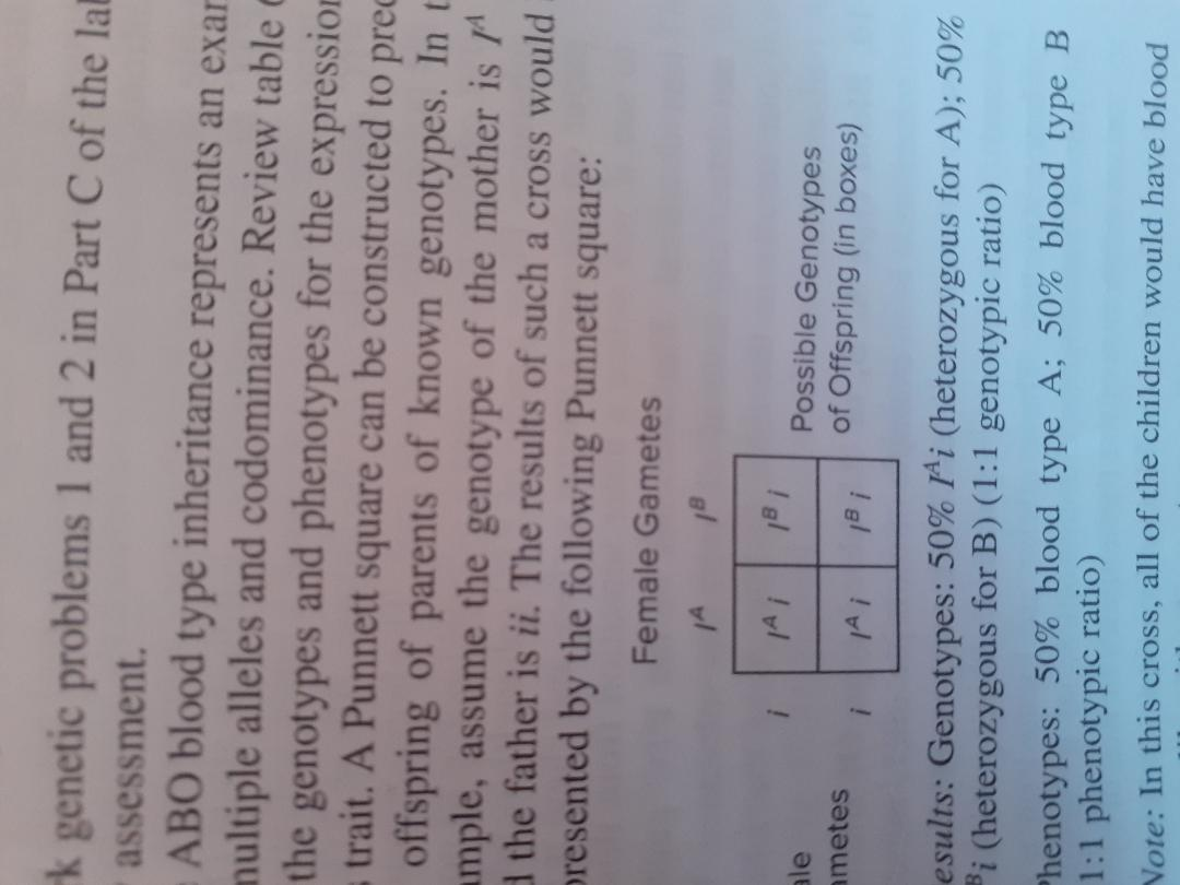 K Genetic Problems 1 And 2 In Part C Of The La Chegg Com