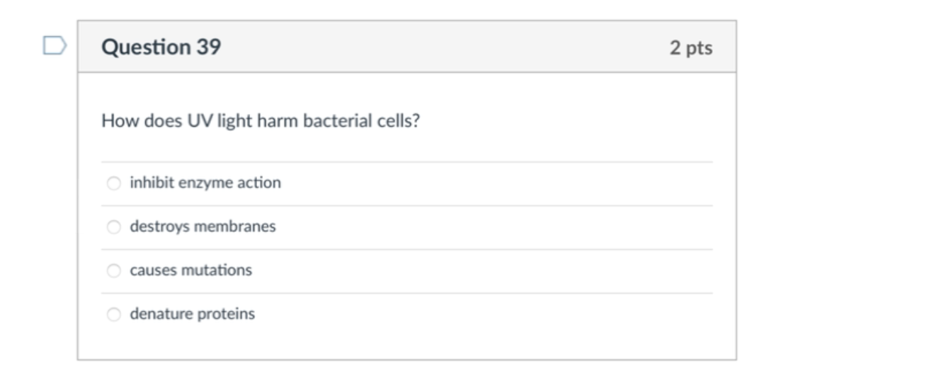 Solved How does UV light harm bacterial cells? inhibit