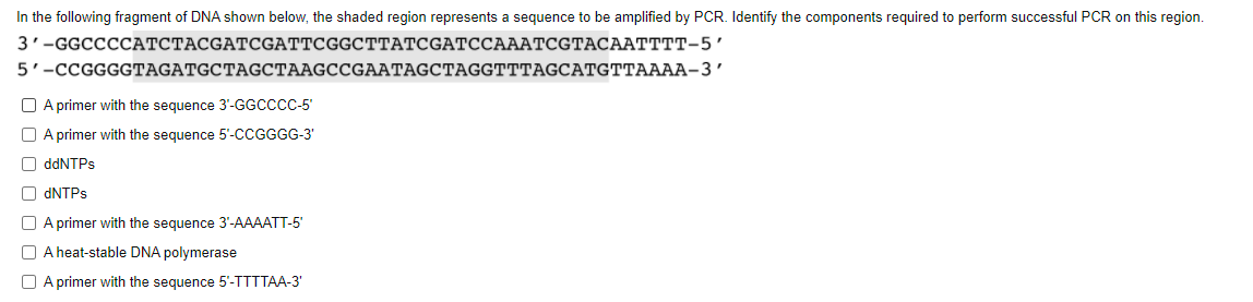 Solved In the following fragment of DNA shown below, the | Chegg.com