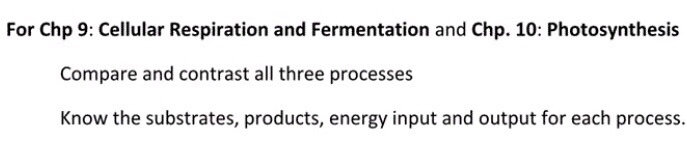 solved-for-chp-9-cellular-respiration-and-fermentation-and-chegg