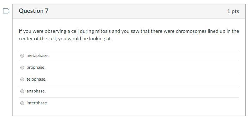 Solved Question 7 1 pts If you were observing a cell during | Chegg.com