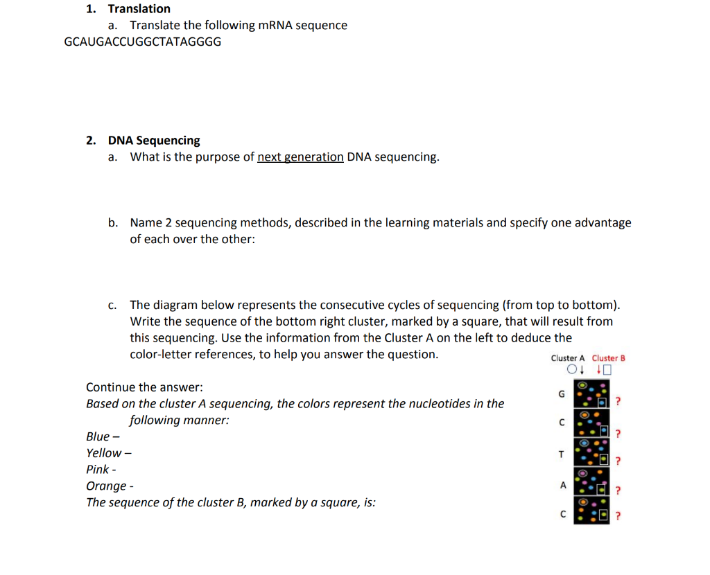 Solved 1. Translation a. Translate the following mRNA | Chegg.com