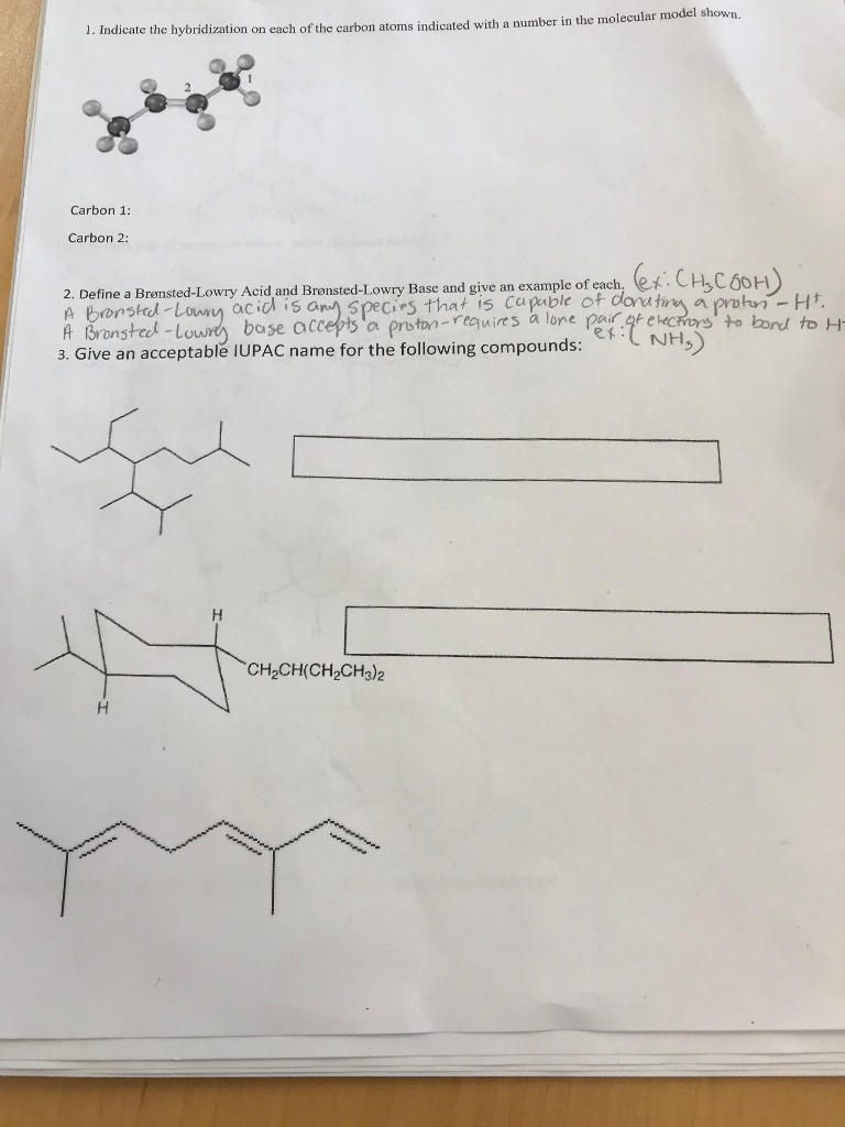Solved dicate the hybridization on each of the carbon atoms | Chegg.com