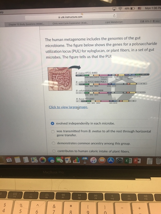 Solved I am not sure if it is correct answer or not | Chegg.com