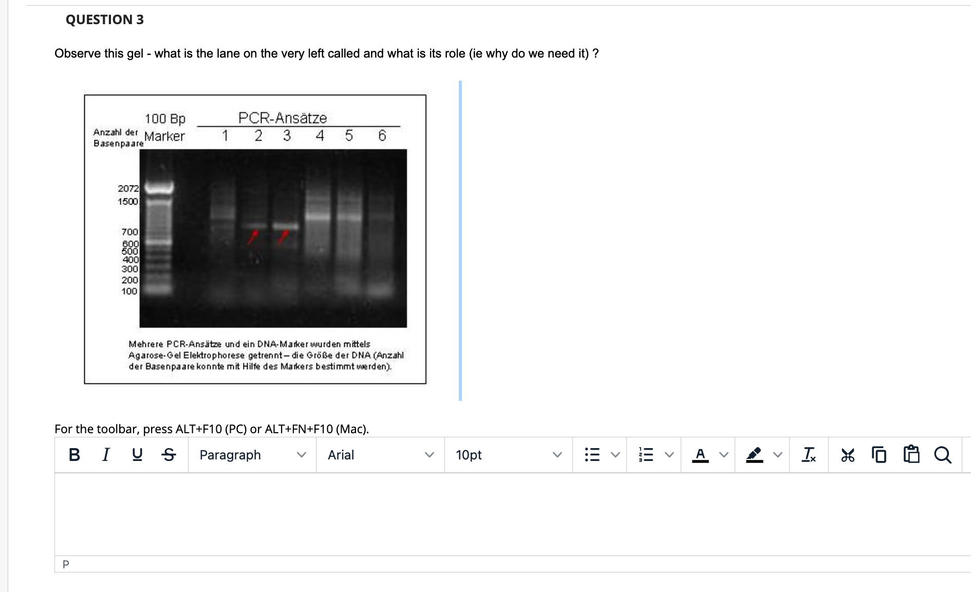 quiz type questions with answers