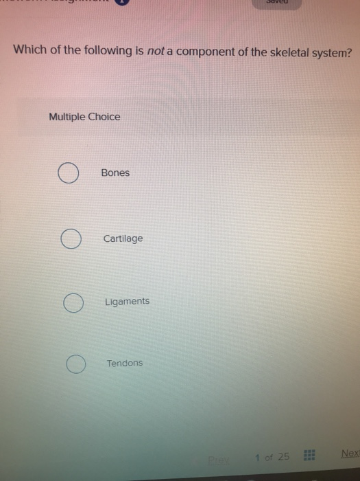 What Are Not Components Of The Skeletal System