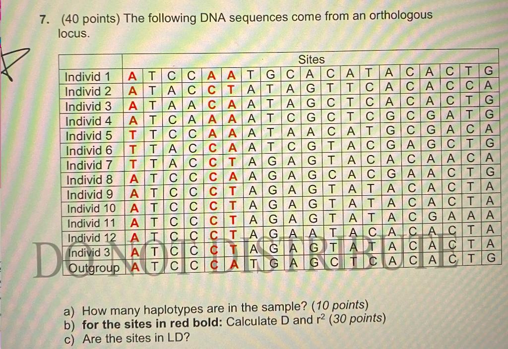 (40 points) The following DNA sequences come from an | Chegg.com
