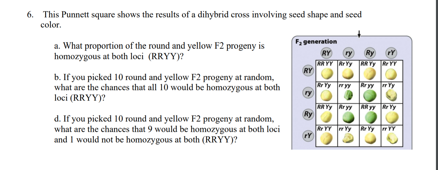 Solved 6. This Punnett square shows the results of a | Chegg.com