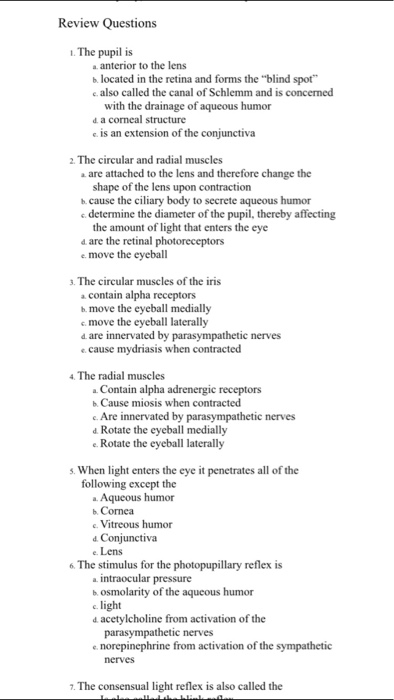 🎉 Radial and circular muscles of the eye. Structure of Human Eye (With ...