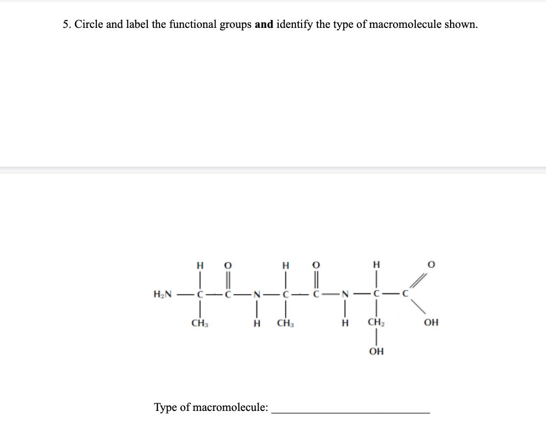 Solved 5. Circle and label the functional groups and | Chegg.com