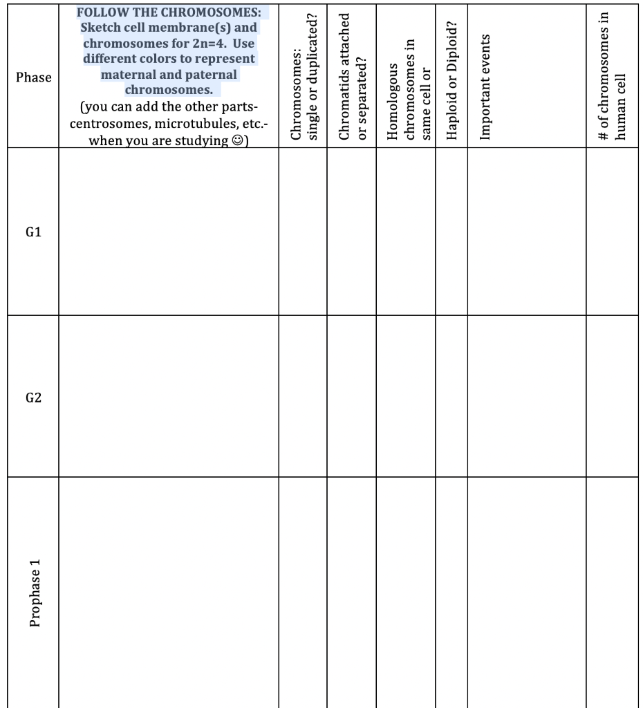 Solved Phase FOLLOW THE CHROMOSOMES: Sketch cell membrane(s) | Chegg.com
