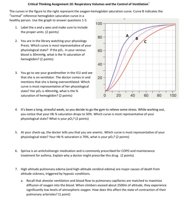 respiratory system critical thinking questions answers