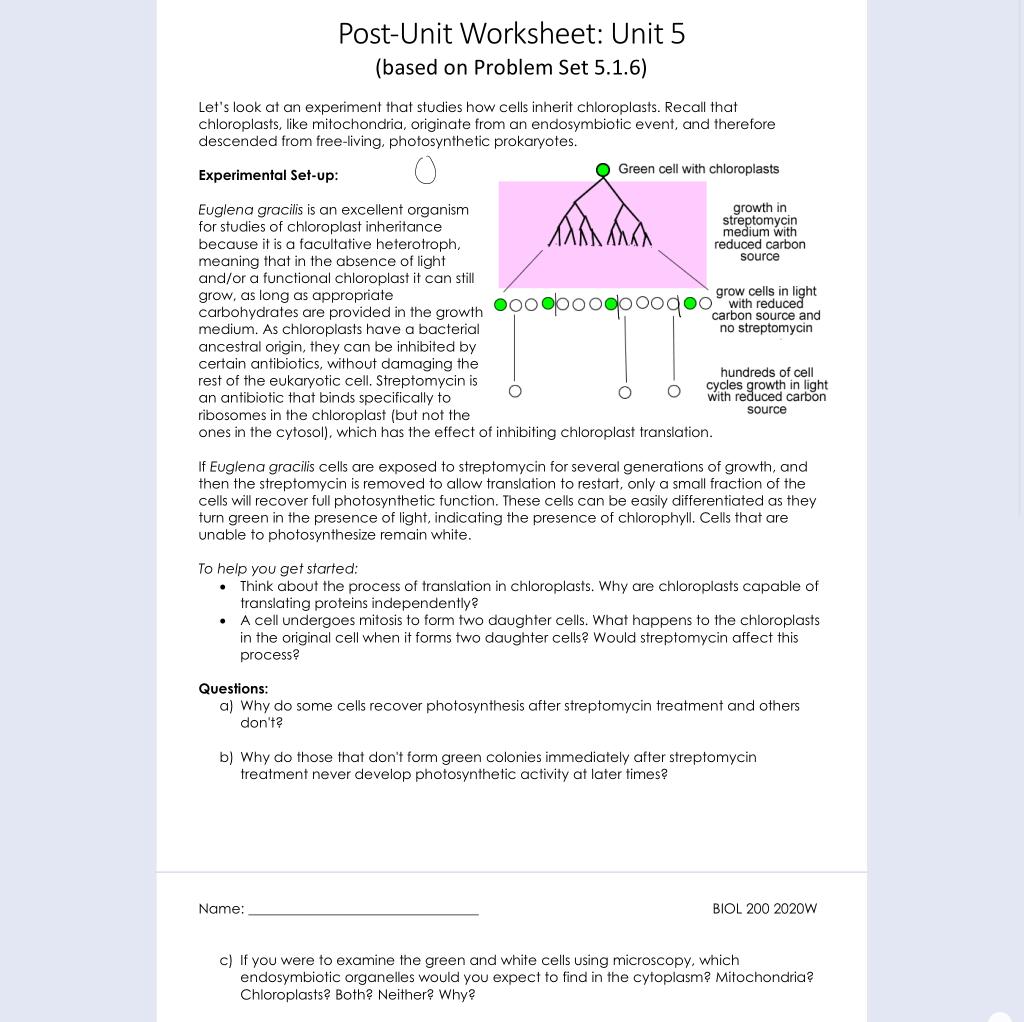 Solved: Post-Unit Worksheet: Unit 5 (based On Problem Set | Chegg.com