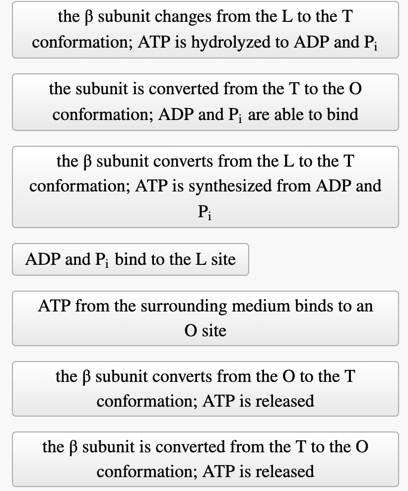 Solved Consider The Figure Adp Order The Steps Of Atp Chegg Com