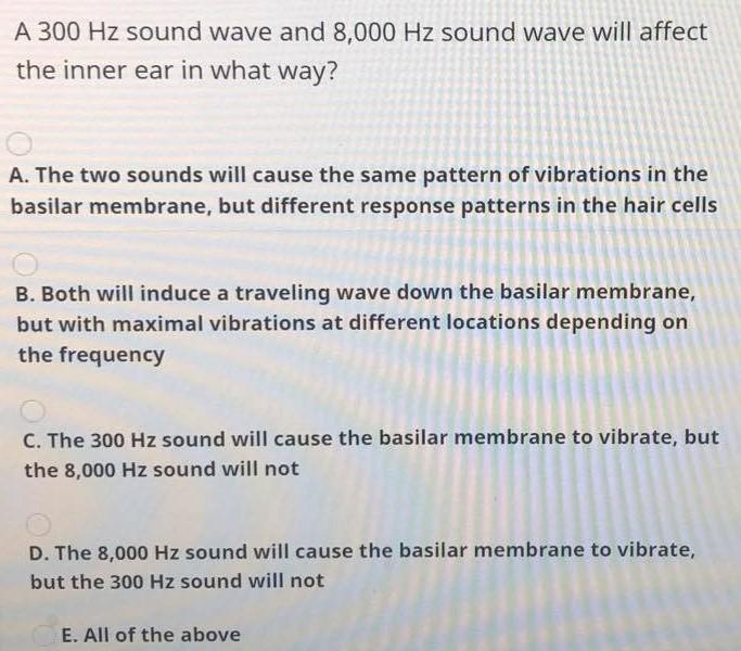 marked bundet dekorere Solved A 300 Hz sound wave and 8,000 Hz sound wave will | Chegg.com