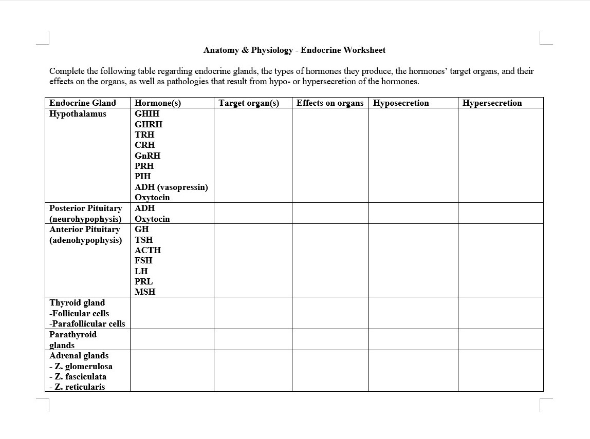 38 Hormones And The Endocrine System Worksheet Answers Worksheet Online