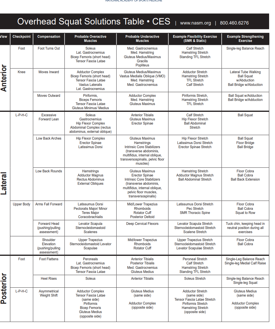 NASM Overhead Squat Assessment