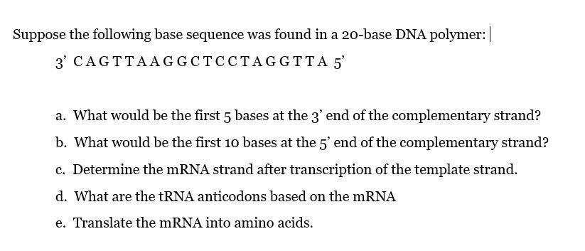 Solved Suppose The Following Base Sequence Was Found In A | Chegg.com