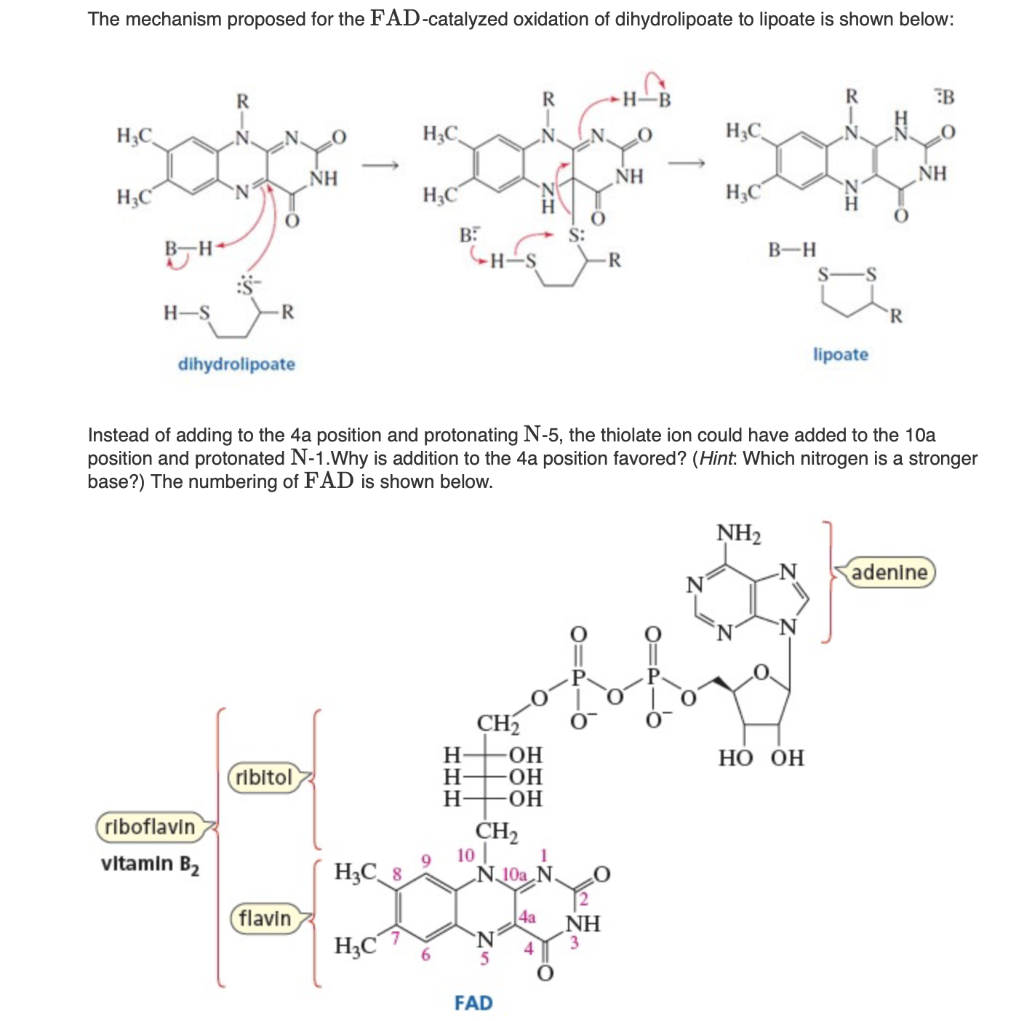 Solved The Mechanism Proposed For The Fad Catalyzed Oxida Chegg Com