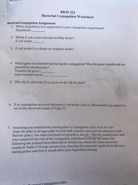 Bacterial Identification Lab Worksheet Answers - Worksheet List