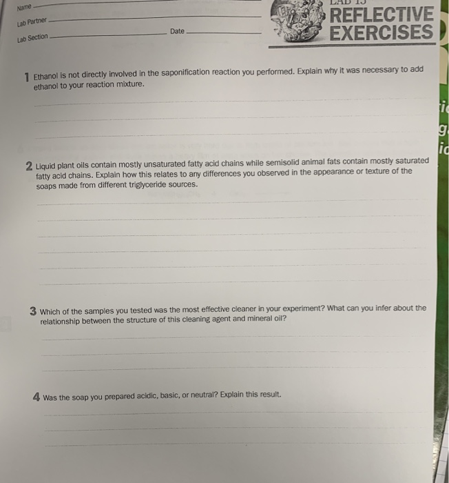 Solved Name Lab Partner Lab Section REFLECTIVE EXERCISES | Chegg.com