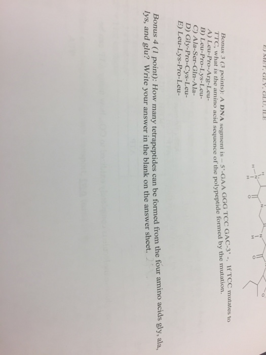 Solved A DNA segment is - 5'-GAA GGG TCC GAC-3' -. If TCC | Chegg.com