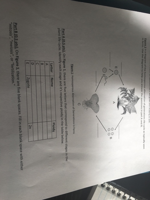 Solved Part a and b | Chegg.com
