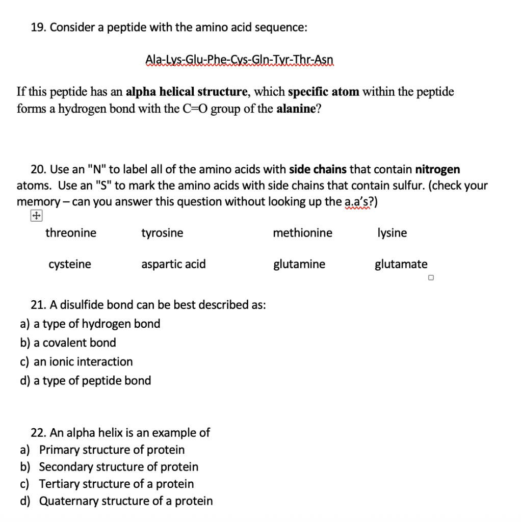 Solved 19. Consider a peptide with the amino acid sequence: | Chegg.com
