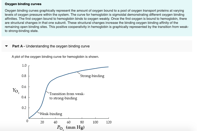 Solved Oxygen Binding Curves Graphically Represent The | Chegg.com