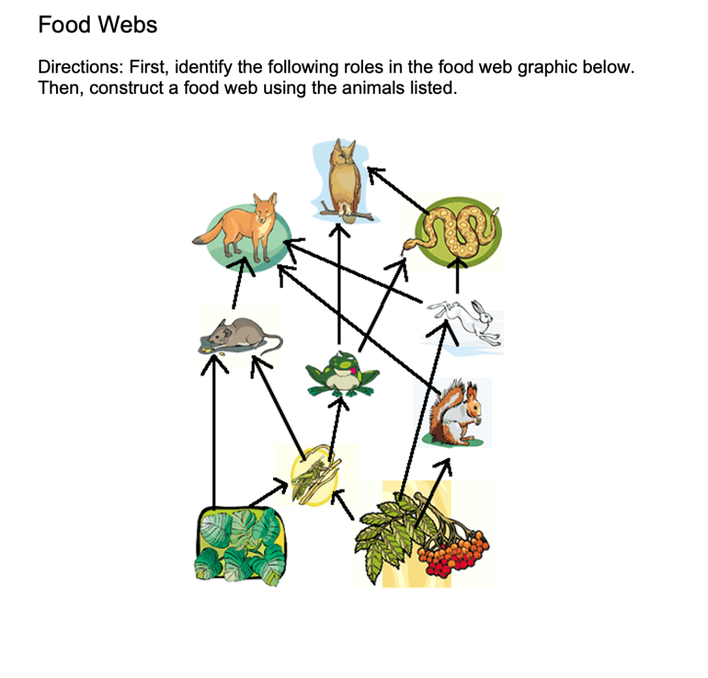 Map Quiz: FOOD WHEEL (biología - 3º primaria - food wheel)