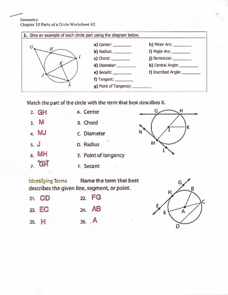 Parts Of A Circle Worksheet