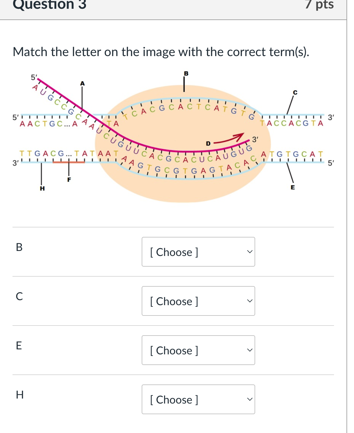 Solved Question 3Match the letter on the image with the | Chegg.com