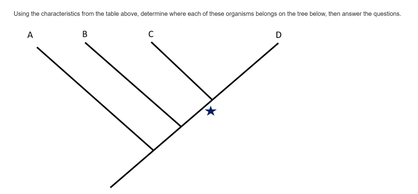 Solved Constructing A Phylogenetic Tree Now You Are Going Chegg Com   PhpSccT4F 