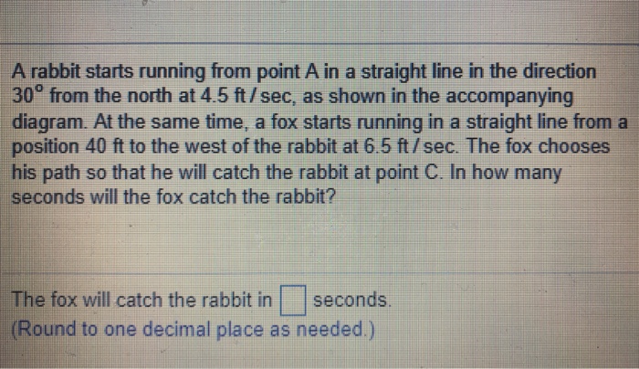 Solved A rabbit starts running from point A in a straight | Chegg.com