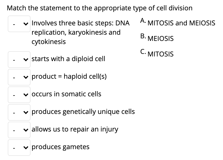 Solved Match the statement to the appropriate type of cell | Chegg.com