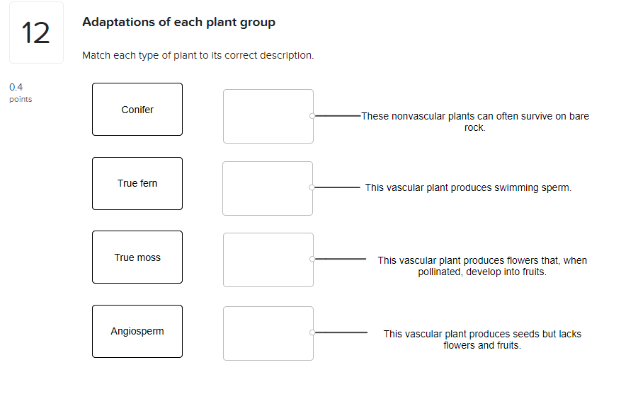 solved-adaptations-of-each-plant-group-12-match-each-type-of-chegg