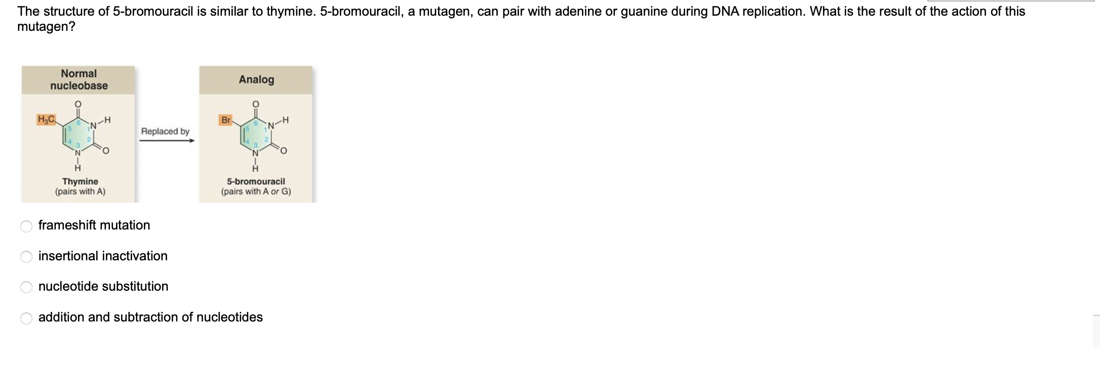 Solved frameshift mutation insertional inactivation