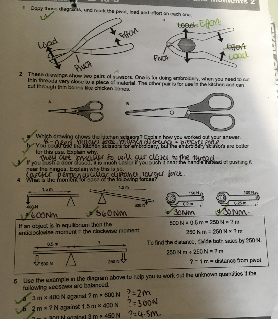 the demonstration of the spring loaded scissors : r/DiWHY