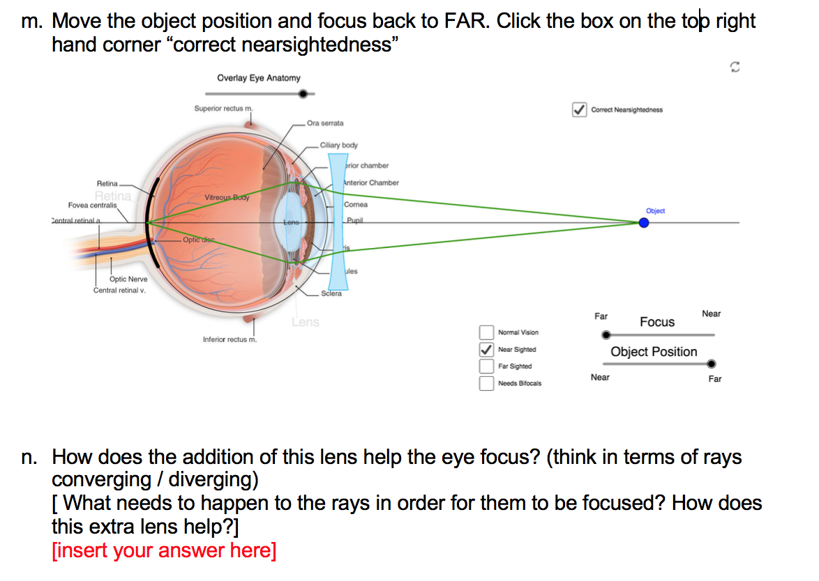 Solved How does the change in lens help the eye focus the